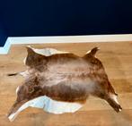 Dierenvellen Impala en Eland, Verzamelen, Dierenverzamelingen, Ophalen of Verzenden, Zo goed als nieuw, Paard, Beeldje of Figuurtje