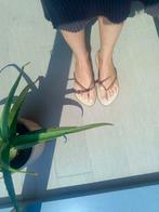 Havaianas nieuw model maat 37/38, 39/40 beige goud, Ophalen of Verzenden, Gedragen, Beige