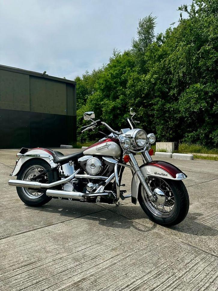 Harley Davidson Softail lage km stand, Motoren, Motoren | Harley-Davidson, Particulier, Toermotor, meer dan 35 kW, 2 cilinders