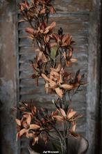 Magnolia stel. orange Magnolia stel. orange, Www.jufbrocante.nl, Www.jufbrocante.nl, Nieuw, Ophalen of Verzenden