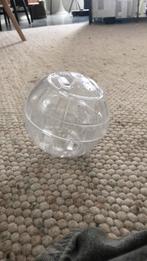 Hamster bal, Dieren en Toebehoren, Ophalen of Verzenden, Zo goed als nieuw, Loopwiel of Rad