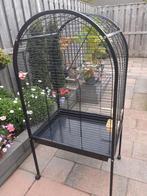 Grote vogelkooi voor papagaai of parkieten, Dieren en Toebehoren, Vogels | Hokken en Kooien, Ophalen