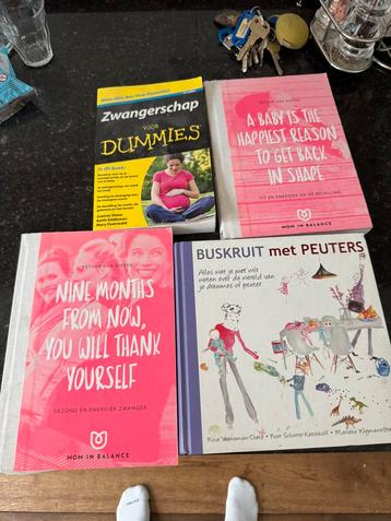 Boeken buskruit met peuters en zwangerschap voor dummies beschikbaar voor biedingen