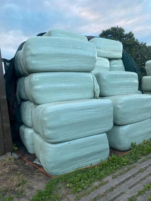 Paarden voordroog hooi in plastic, Dieren en Toebehoren, Dierenvoeding, Vee, Ophalen