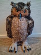 Knuffel uil met ijzer skelet 60cm, Geslacht onbekend, Roofvogel, Geringd