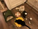 Kattenspullen ! Tent, snuffelmat, Valeriaan en Catnip Spray+, Ophalen
