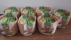 Nieuw 7x Zelf snack komkommer grow bag, Ophalen, Voorjaar, Volle zon, Zaad
