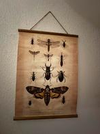 Vintage poster - Dieren, Ophalen of Verzenden, Gebruikt