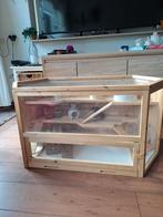 Hamster verblijf/kooi, Ophalen of Verzenden, Kooi, Hamster, Minder dan 60 cm