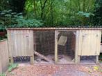 Kippenhok, gratis, zelf afbreken., Dieren en Toebehoren, Pluimvee, Vrouwelijk, Kip