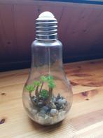 Gezellige gloeilamp lamp met kunstplantje en verlichting, Ophalen of Verzenden, Nieuw, Minder dan 50 cm