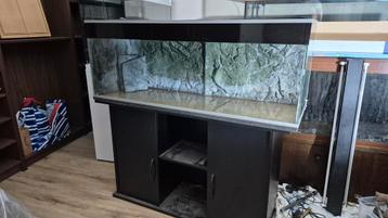 Leuk 120 cm aquarium met 3d achterwand beschikbaar voor biedingen