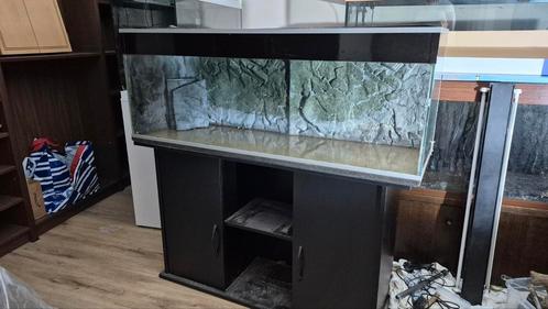 Leuk 120 cm aquarium met 3d achterwand, Dieren en Toebehoren, Vissen | Aquaria en Toebehoren, Gebruikt, Leeg aquarium, Ophalen