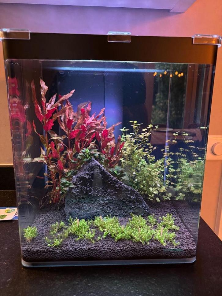 Dennerle Nano Cube 30 Liter aquarium, Dieren en Toebehoren, Vissen | Aquaria en Toebehoren, Zo goed als nieuw, Leeg aquarium, Ophalen