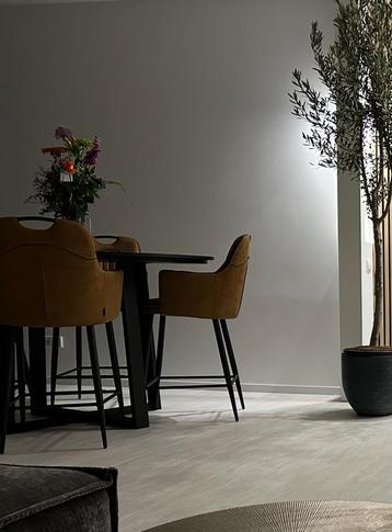 Eettafel inclusief leren stoelen nog geen jaar oud
