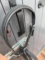 2  nieuwe neusriemen, Ophalen of Verzenden, Nieuw