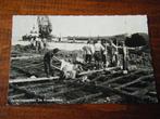 F37 - Zuiderzeewerken - Kraagstukken - Mooi/Oud 3, Ophalen of Verzenden, 1940 tot 1960, Flevoland
