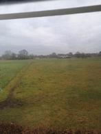 Volkstuin/moestuin, Tuin en Terras, Ophalen of Verzenden