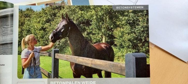 Betonnen Weidepalen, Dieren en Toebehoren, Stalling en Weidegang