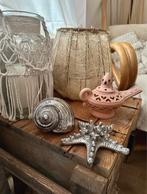Zilverkleurige schelp en zeester ter decoratie, Verzamelen, Ophalen of Verzenden, Zo goed als nieuw