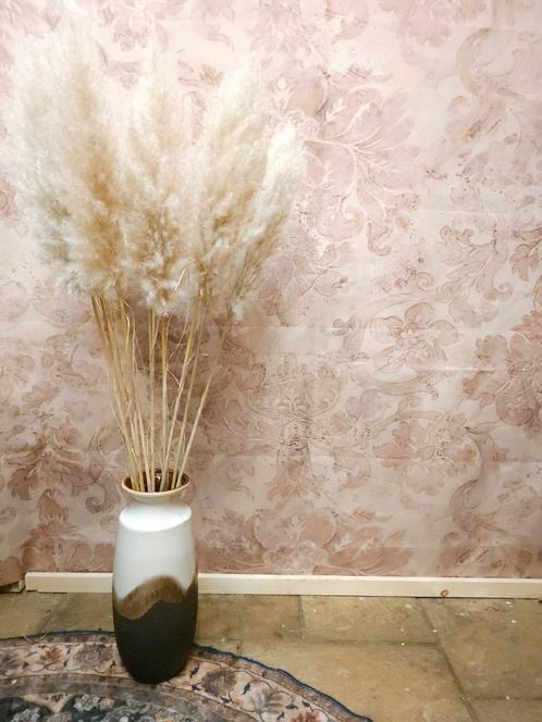 PAMPASPLUIMEN PLUIMEN Pampasgras, Huis en Inrichting, Woonaccessoires | Droogbloemen, Nieuw, Ophalen