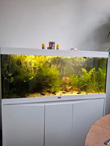 Mooi atlantis aquarium compleet  beschikbaar voor biedingen