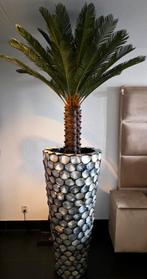 NIEUW UNIEK GROTE SCHELPENVAAS EN KUNST PALMBOOM ERIC KUSTER, Ophalen, Nieuw, Overige kleuren, 75 cm of meer