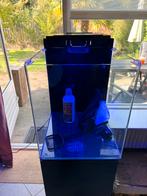 Blue marine zeeaquarium 60L, Ophalen, Leeg aquarium