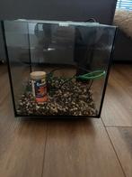 Aquarium/ vissenkom met filter, Dieren en Toebehoren, Vissen | Aquaria en Toebehoren, Ophalen, Gebruikt, Leeg aquarium