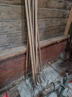 hooivorken, Februari, Meerdere dieren