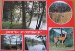 drie keer groeten uit Oisterwijk - nieuw, Verzamelen, Ansichtkaarten | Nederland, Ophalen of Verzenden, 1980 tot heden, Ongelopen