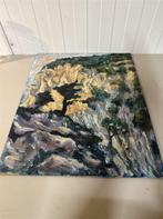 Schilderij zie fotos bos rots, Antiek en Kunst, Ophalen of Verzenden