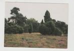 Odoorn Odoornerzand Staatsbosbeheer  Ongelopen, Verzamelen, Verzenden, 1980 tot heden, Ongelopen, Drenthe