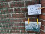 Rozen,klimopmatten rekjes voor planten 2 stuks incl bevestig, Ophalen, Gebruikt