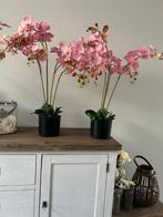kunstplant orchidee, Huis en Inrichting, Woonaccessoires | Kunstplanten en Kunstbloemen, Ophalen, Zo goed als nieuw, Binnen