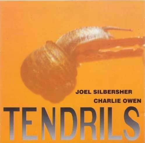 CD Joel Silbersher & Charlie Owen - Tendrils ZYX 20415-2, Cd's en Dvd's, Cd's | Rock, Zo goed als nieuw, Alternative, Ophalen of Verzenden