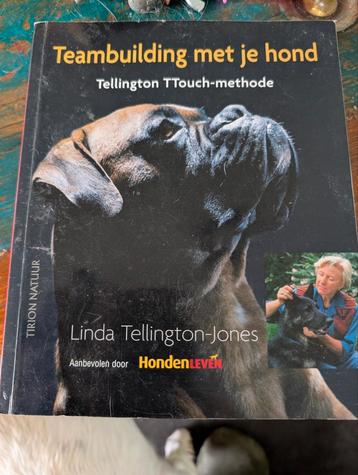 Teambuilding met je hond - Linda Tellington-Jones beschikbaar voor biedingen
