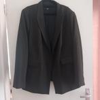 Dames Blazer Broek Pak - Maat 46, Kostuum of Pak, Overige kleuren, Maat 46/48 (XL) of groter, Ophalen of Verzenden