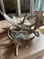 Hertengewei fruitschaal exclusief, Ophalen