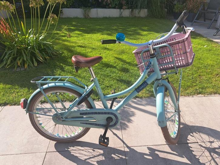 Alpina Cargo 22 inch Meisjesfiets met Mandje, Fietsen en Brommers, Fietsen | Meisjes, Gebruikt, 22 inch, Handrem, Ophalen