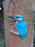 IJSVOGEL  (L) THE BEAUTY, Ophalen of Verzenden, Nieuw