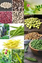 Diverse Bonen en Peulvruchten zaden, Verzenden, Zaad