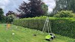 Tuinonderhoud aangeboden, stronkenfrees, snoeiwerk, Diensten en Vakmensen, Tuinmannen en Stratenmakers, Tuinonderhoud of Snoeiwerk