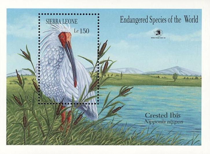 SIERRA LEONE 59 - Dieren: vogels (kuifibis), Postzegels en Munten, Postzegels | Thematische zegels, Postfris, Dier of Natuur, Ophalen of Verzenden