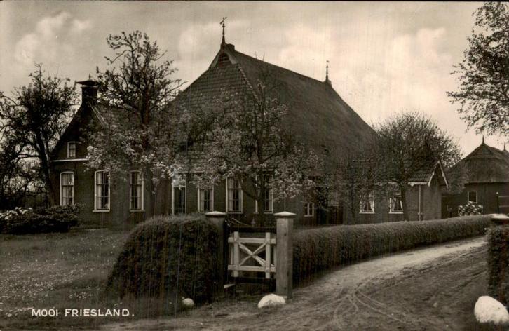 Mooi Friesland - Boerderij, Verzamelen, Ansichtkaarten | Nederland, Gelopen, Friesland, Voor 1920, Ophalen of Verzenden