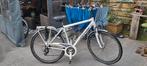 Ferrini Venue citybike framemaat 52, 28 inch, Gebruikt, Vering, Meer dan 20 versnellingen