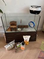 (Dwerg)hamster kooi te koop - Hamster cage for sale, Dieren en Toebehoren, Kooi, Zo goed als nieuw, Hamster, 75 tot 110 cm