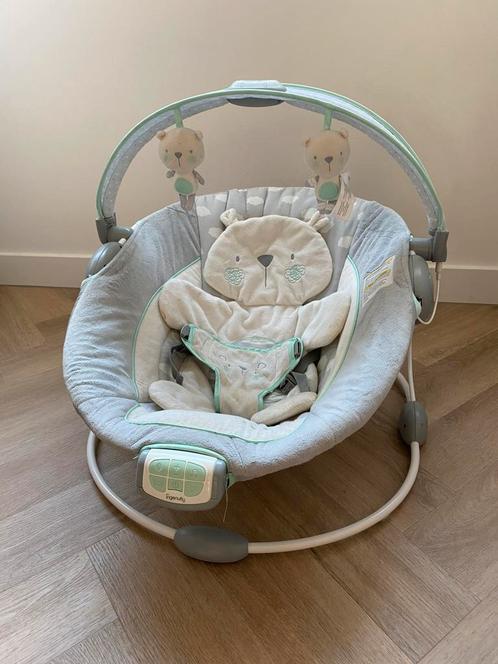 Ingenuity Twinkle Teddy Bear wipstoel, Kinderen en Baby's, Wipstoeltjes, Gebruikt, Wipstoel, Met gordel(s) of riempje(s), Ophalen of Verzenden