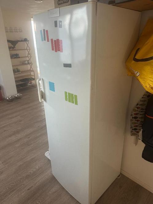 Diepvries, Witgoed en Apparatuur, Vriezers en Diepvrieskisten, Gebruikt, Vrijstaand, Vrieskast, 160 cm of meer, Minder dan 60 cm