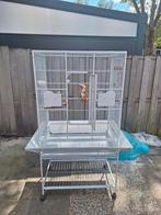 Vogelkooi alaska keddoc, Dieren en Toebehoren, Ophalen, Gebruikt, Metaal, Vogelkooi